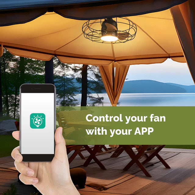 Outdoor Smart Caged Ceiling Fan